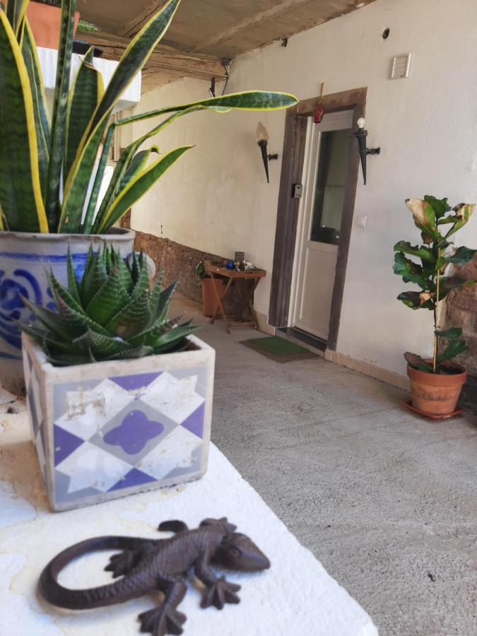 Studio Tout Confort 2 Personnes Au Coeur De L'Alsace Wolxheim Exterior foto