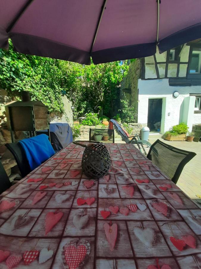 Studio Tout Confort 2 Personnes Au Coeur De L'Alsace Wolxheim Exterior foto