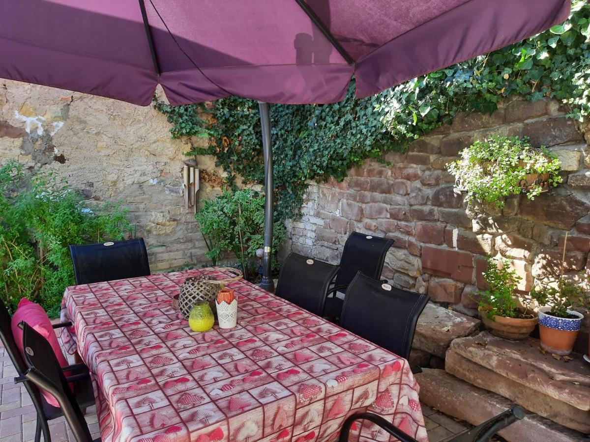 Studio Tout Confort 2 Personnes Au Coeur De L'Alsace Wolxheim Exterior foto
