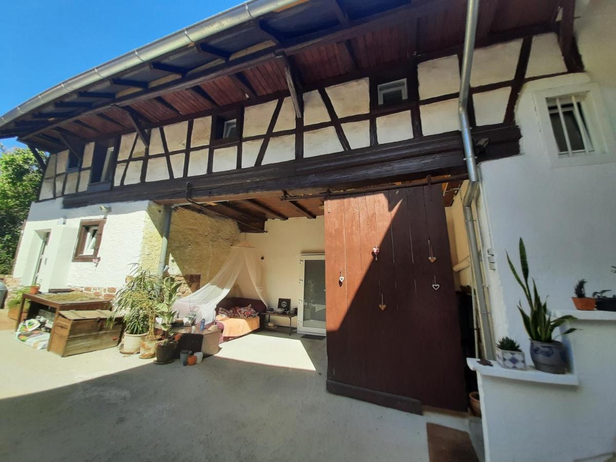 Studio Tout Confort 2 Personnes Au Coeur De L'Alsace Wolxheim Exterior foto