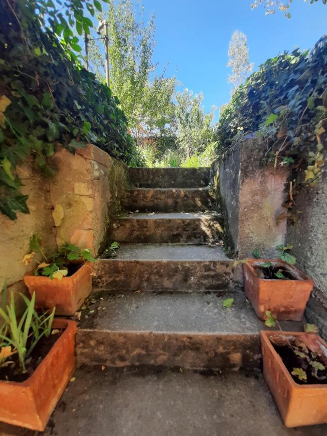 Studio Tout Confort 2 Personnes Au Coeur De L'Alsace Wolxheim Exterior foto