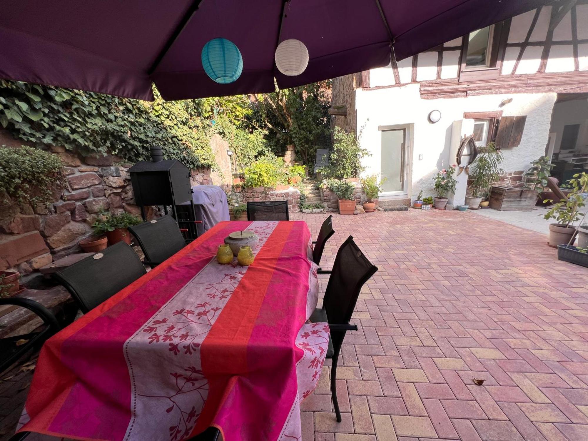 Studio Tout Confort 2 Personnes Au Coeur De L'Alsace Wolxheim Exterior foto