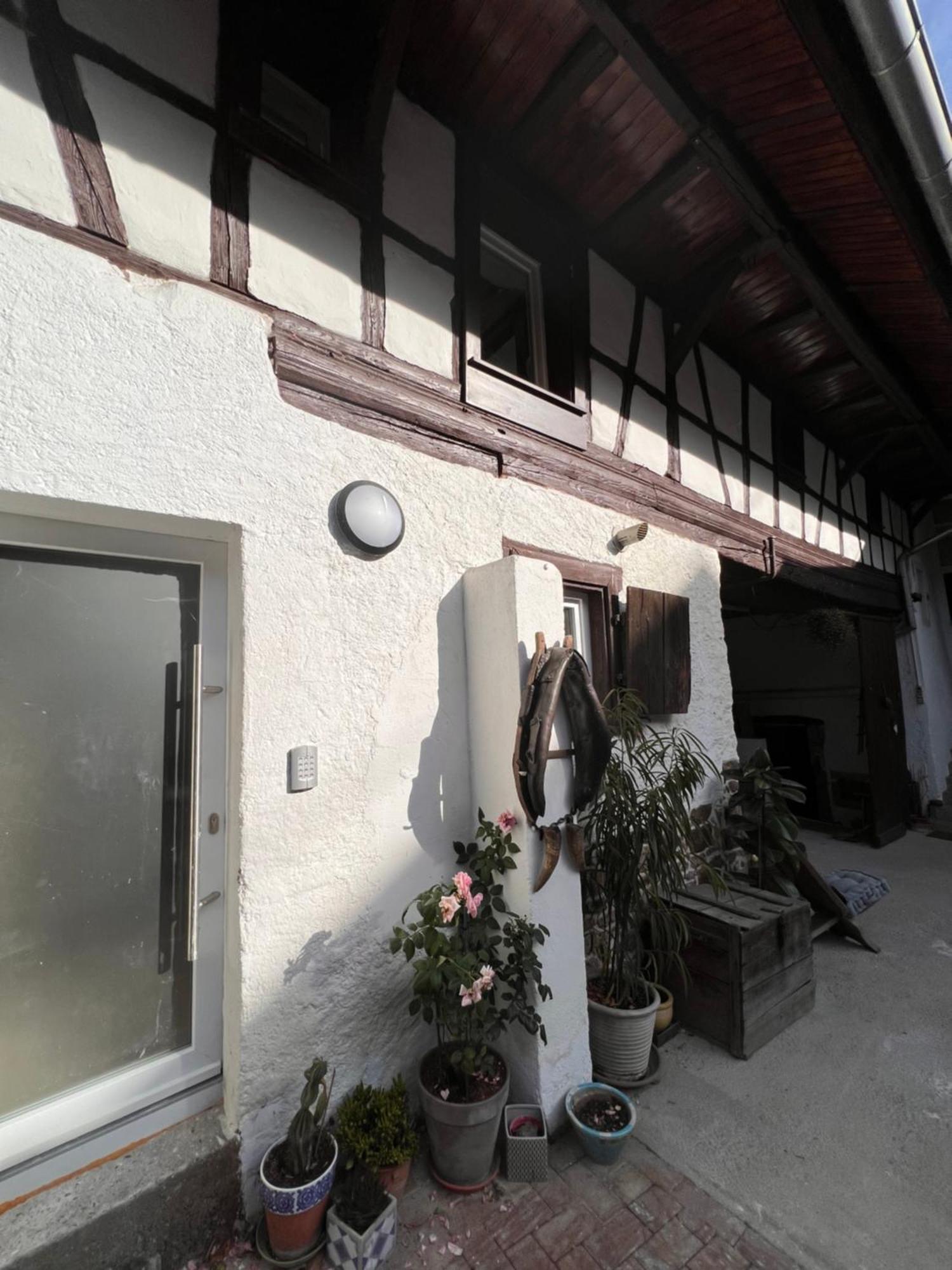 Studio Tout Confort 2 Personnes Au Coeur De L'Alsace Wolxheim Exterior foto