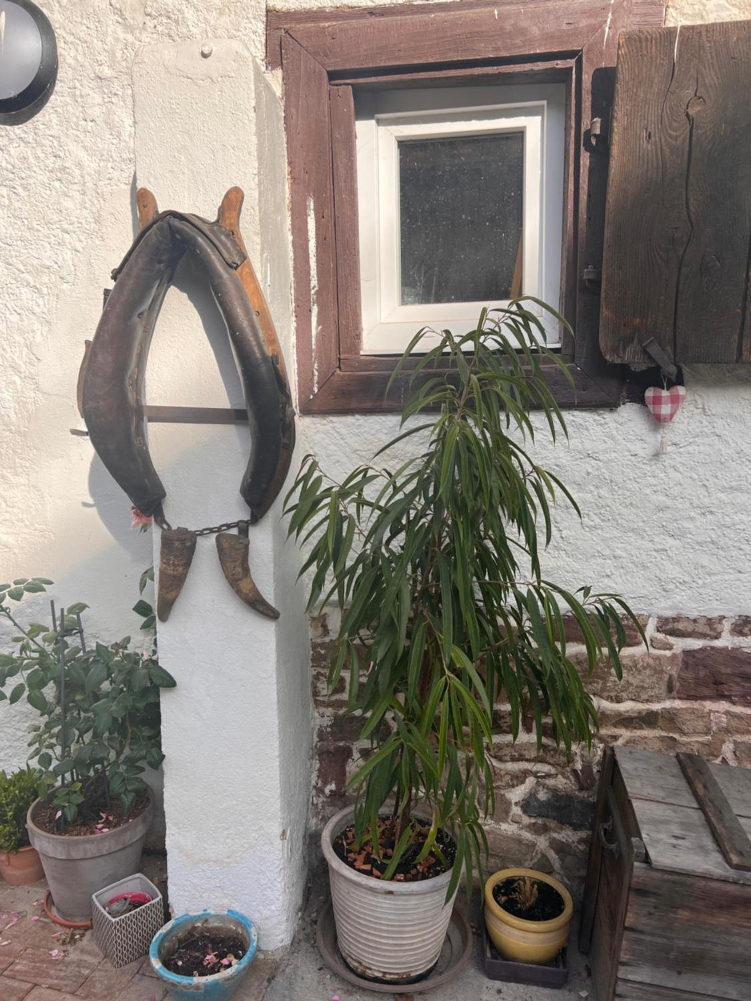 Studio Tout Confort 2 Personnes Au Coeur De L'Alsace Wolxheim Exterior foto