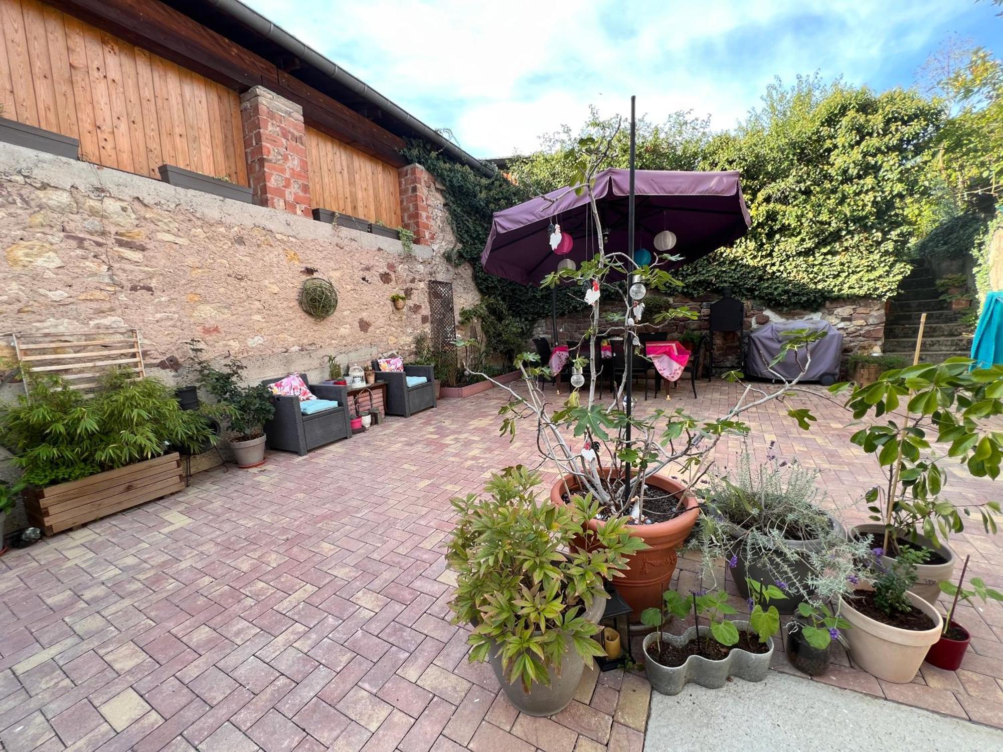 Studio Tout Confort 2 Personnes Au Coeur De L'Alsace Wolxheim Exterior foto